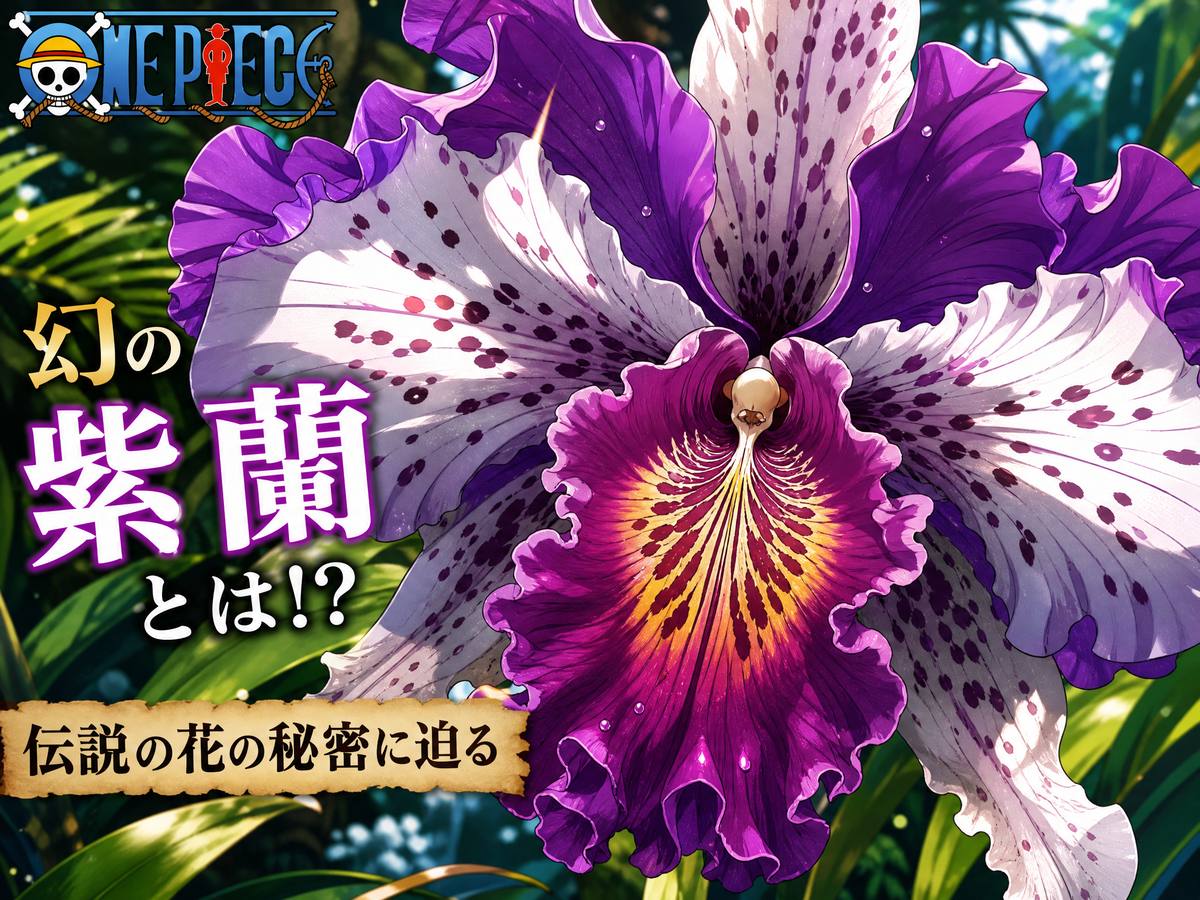 海角